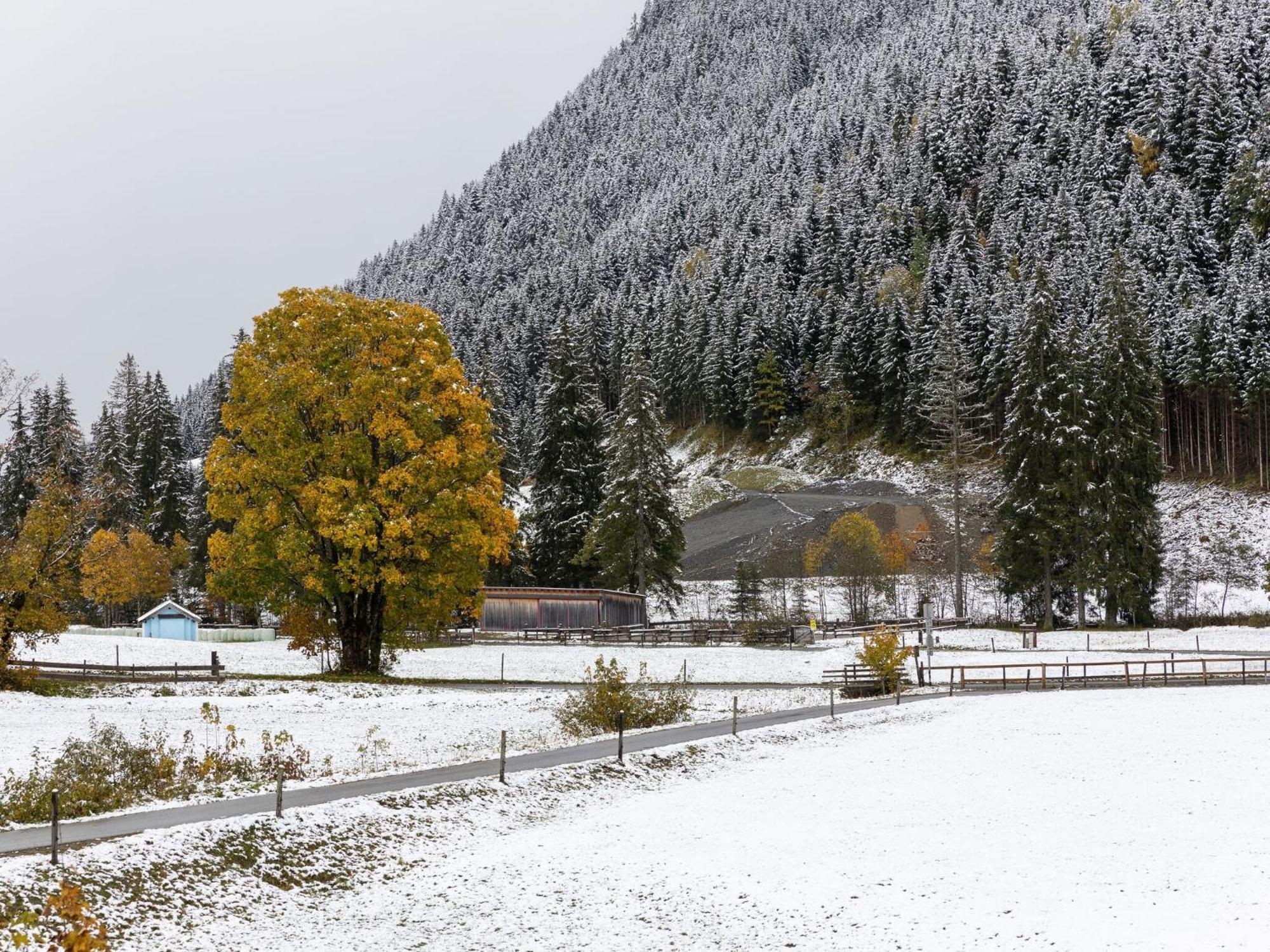 Chalet Apartment In Saalbach Hinterglemm Экстерьер фото